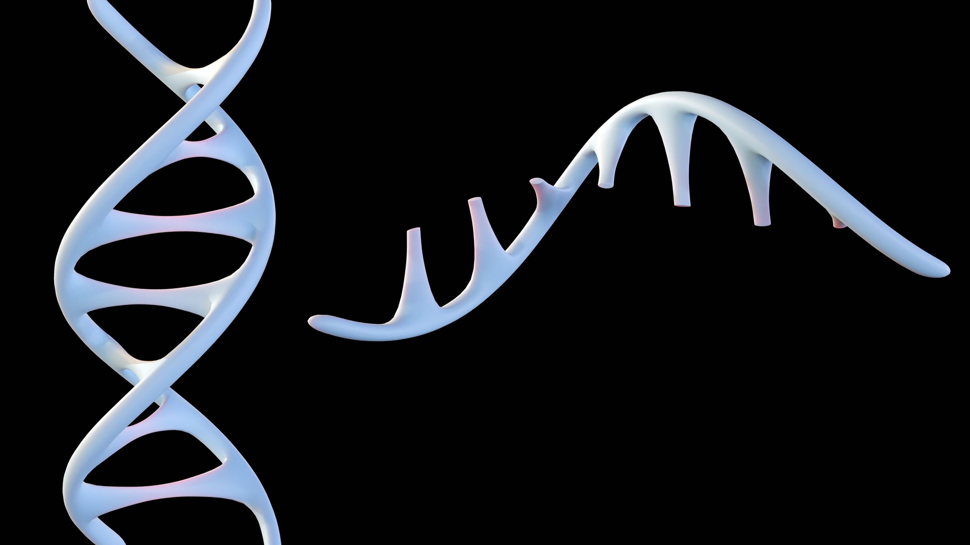 3d rendering of DNA editing technique called CRISPR